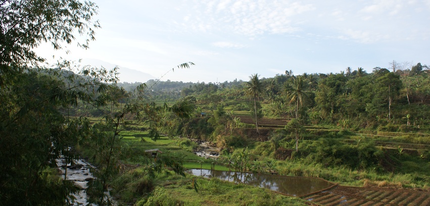 Bogor bezienswaardigheden Indonesië