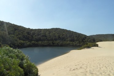 Route oostkust Australië: 4 weken langs de mooiste bezienswaardigheden